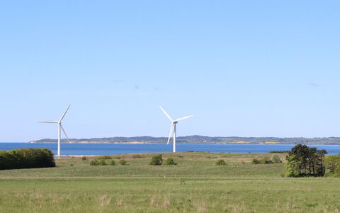 Adia - 650M from the Sea: Landgoed, Schaduw, Oprit, Boerderij