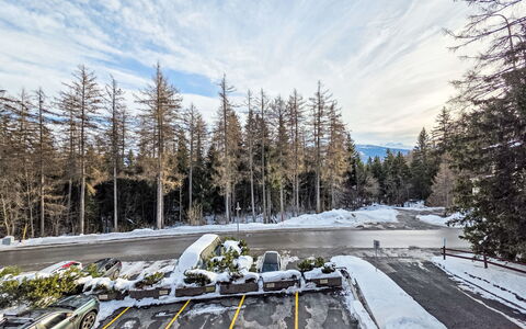 Reseda 3.23: Boom, Afdeling, Winter, Sneeuw, Freezing, Trunk, Ochtend, Lariks, Vorst