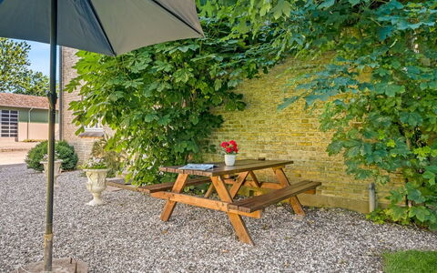 Iivo - 1.3Km from the Sea: Meubilair, Buitenmeubels, Stoel, Struik, Buitentafel, Bloempot, Tuin, Schaduw, Kamerplant, Backyard