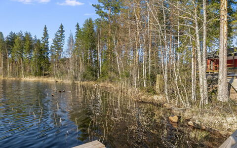 Järven Idylli: Hout, Verblijf, Huis, Blokhut, Timmerhout, Siding, Hardwood, Natuurlijk Materiaal, Garden Gebouwen, Hut