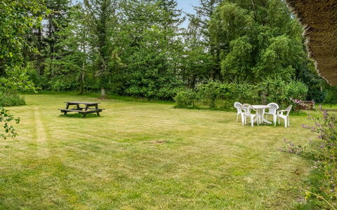 Hoat - 1.7Km from the Sea: Gras, Struik, Grasland, Plain, Land Lot, Weide, Gazon, Tuin, Pasture, Park