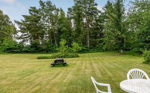 Hoat - 1.7Km from the Sea: Boom, Gras, Struik, Landschap, Tuin, Land Lot, Gazon, Weide, Landscaping, Park