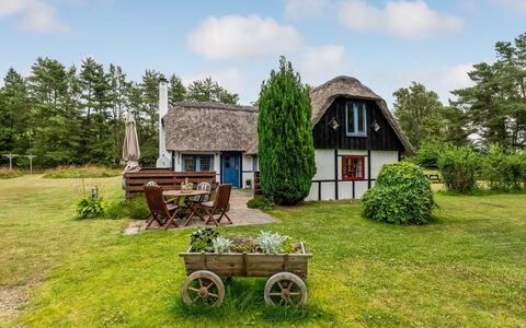 Hoat - 1.7Km from the Sea: Landgoed, Schaduw, Oprit, Boerderij