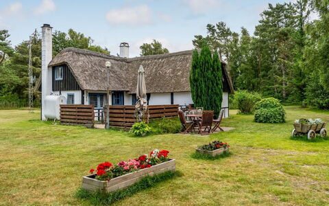 Hoat - 1.7Km from the Sea: Landgoed, Schaduw, Oprit, Boerderij