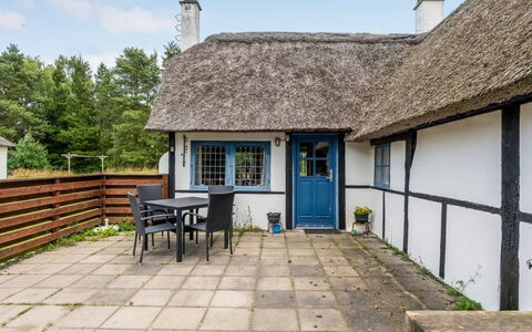 Hoat - 1.7Km from the Sea: Landgoed, Schaduw, Oprit, Boerderij
