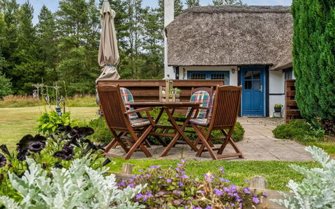 Hoat - 1.7Km from the Sea: Landgoed, Schaduw, Oprit, Boerderij