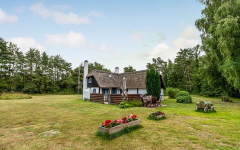 Hoat - 1.7Km from the Sea: Landgoed, Schaduw, Oprit, Boerderij