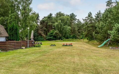 Hoat - 1.7Km from the Sea: Landgoed, Schaduw, Oprit, Boerderij