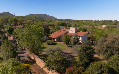 Villa Ginevra: Boom, Natuur, Huis, Woongebied, Landschap, Huis, Vegetation, Landelijk Gebied, Dak