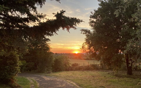 Villa Ginevra: Zon, Blad, Afdeling, Boom, Natuur, Gras, Natuurlijk Landschap, Zonsondergang, Zonsopkomst