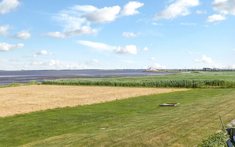 Kjera - 2.4Km from the Sea: Lucht, Blauw, Groen, Dag, Gras, Natuurlijke Omgeving, Wolk, Grasland, Plain, Horizon