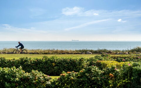 Thit - 90M from the Sea: Verblijf, Backyard, Werf, Garden Gebouwen, Schuur, Siding, Buitenmeubels, Blokhut, Outdoor Structuur, Keet