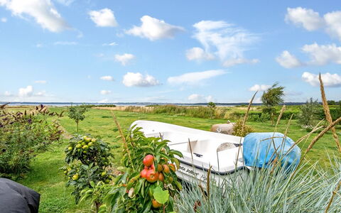 Bondi - 75M from the Sea: Gras, Grasland, Land Lot, Verblijf, Landelijk Gebied, Weide, Garden Gebouwen, Tuin, Schuur
