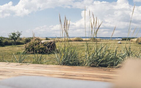 Bondi - 75M from the Sea: Gras, Grasland, Land Lot, Verblijf, Landelijk Gebied, Weide, Garden Gebouwen, Tuin, Schuur