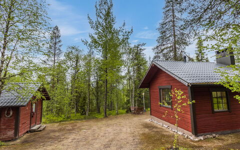Riekkola: Boom, Hout, Verblijf, Huis, Huis, Dak, Land Lot, Landelijk Gebied, Bos, Schuur
