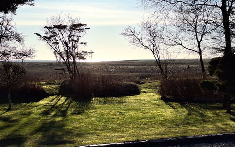 Bodulf - 850M from the Sea: Natuur, Afdeling, Natuurlijk Landschap, Plain, Trunk, Zonlicht, Ochtend, Gazon, Takje, Landscaping