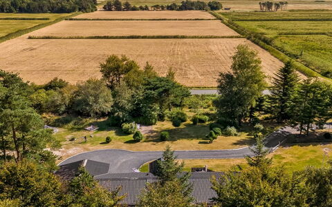 Bodulf - 850M from the Sea: Vegetation, Landschap, Plain, Land Lot, Landelijk Gebied, Veld, Plantage, Weide, Landscaping, Luchtfotografie