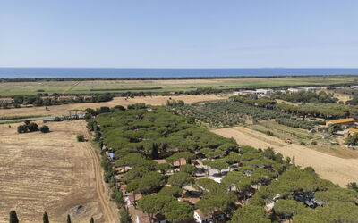 Accommodatie:&nbsp;Appartamento Standard 649.3