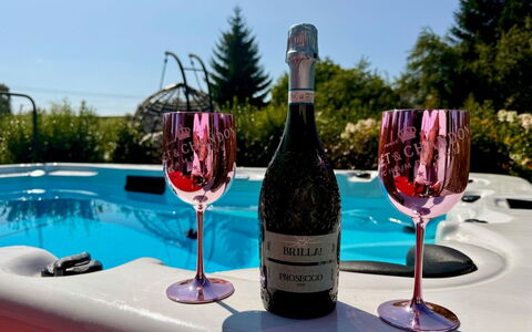 Luxury Palace with Swimming Spa&Jacuzzi: Fles, Drinkware, Tableware, Glazen Fles, Glaswerk, Wijn