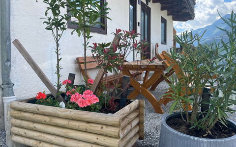 Panoramaperle: Hout, Bloempot, Kamerplant, Tuin, Hardwood, Bloemisterij, Plank, Beits, Kruid