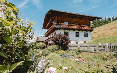 Panoramaperle