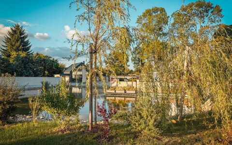 Luxury Retreat Resort: Blauw, Boom, Natuur, Afdeling, Blad, Reflectie, Takje, Zonlicht, Ochtend, Woody Plant