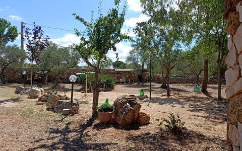 Borgo Incanto: Boom, Landschap, Bodem, Trunk, Woody Plant, Tuin, Schaduw, Landscaping, Backyard, Pad
