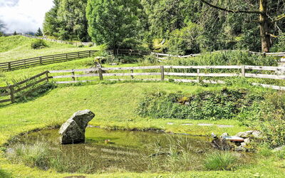 Längenfeld 290: Gras, Grasland, Plantengemeenschap, Groundcover, Weide, De Lente, Pasture, Tuin