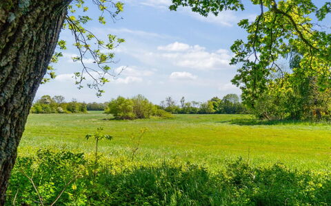 Aarni - 6.5Km from the Sea: Appartement, Condominium, Landgoed, Balkon, Villa, Hotel