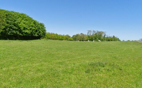 Aarni - 6.5Km from the Sea: Appartement, Condominium, Landgoed, Balkon, Villa, Hotel