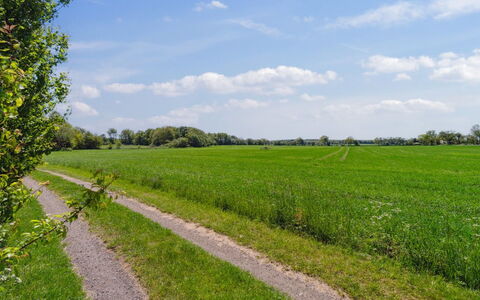 Aarni - 6.5Km from the Sea: Appartement, Condominium, Landgoed, Balkon, Villa, Hotel