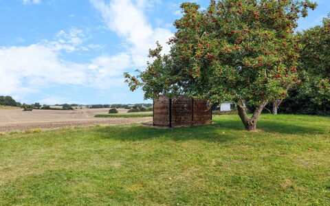 Alisa - 2.5Km from the Sea: Gras, Grasland, Land Lot, Verblijf, Landelijk Gebied, Weide, Garden Gebouwen, Tuin, Schuur