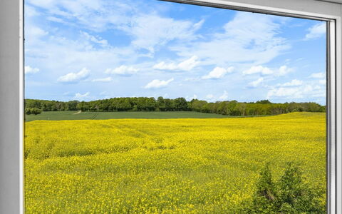 Alisa - 2.5Km from the Sea: Gras, Grasland, Land Lot, Verblijf, Landelijk Gebied, Weide, Garden Gebouwen, Tuin, Schuur