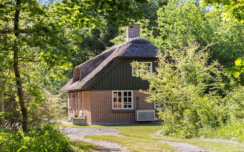 Hilaria - 2.1Km from the Sea: Boom, Verblijf, Struik, Huis, Dak, Landelijk Gebied, Huis, Boerderij, De Lente, Thatching