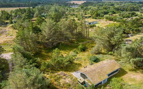Saila - 1.2Km from the Sea: Vegetation, Landschap, Ecoregio, Land Lot, Plantengemeenschap, Landelijk Gebied, Verblijf, Veld, Weide, Plantage