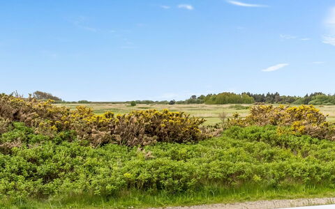 Steffan - 2.3Km from the Sea: Verblijf, Backyard, Werf, Garden Gebouwen, Schuur, Siding, Buitenmeubels, Blokhut, Outdoor Structuur, Keet