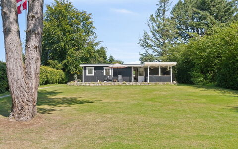 Guthfrith - 1.4Km from the Sea: Vegetation, Struik, De Lente, Verblijf, Tuin, Schaduw, Backyard, Werf, Stoel