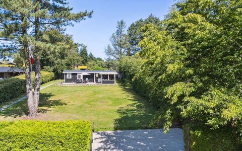 Guthfrith - 1.4Km from the Sea: Vegetation, Struik, De Lente, Verblijf, Tuin, Schaduw, Backyard, Werf, Stoel