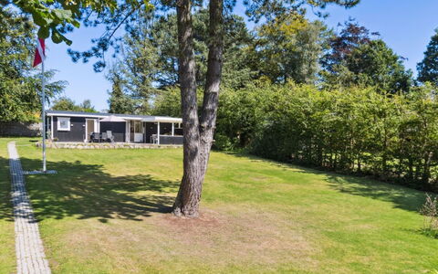 Guthfrith - 1.4Km from the Sea: Vegetation, Struik, De Lente, Verblijf, Tuin, Schaduw, Backyard, Werf, Stoel