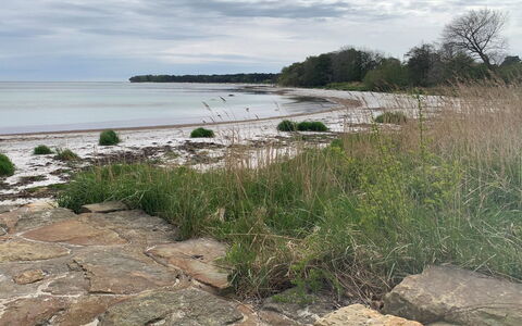 Hildegunda - 280M from the Sea: Appartement, Condominium, Landgoed, Balkon, Villa, Hotel
