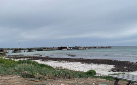 Hildegunda - 280M from the Sea: Appartement, Condominium, Landgoed, Balkon, Villa, Hotel