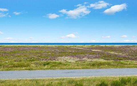 Lutz - 340M from the Sea: Dak, Huis, Huis, Verblijf, Siding, Landgoed, Oprit, Garden Gebouwen, Werf, Schuur
