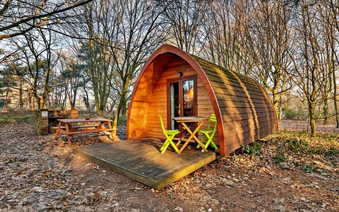 Eadmund Pod: Hout, Blokhut, Bos, Schuur, Garden Gebouwen, Park, Trail, Herfst, Hut, Camping