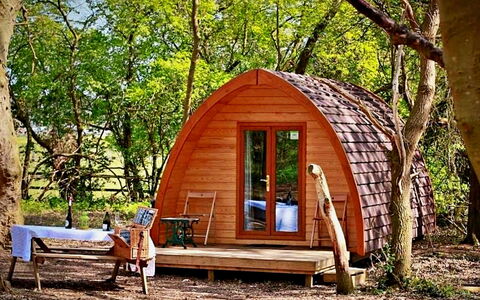 Eadmund Pod: Hout, Garden Gebouwen, Schuur, Blokhut, De Lente, Verblijf, Trunk, Bos, Tuin
