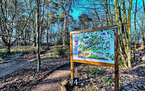 Boudicca Pod: Blad, Natuur, Afdeling, Trunk, Woud, Woody Plant, Bodem, Trail, Bos, Park