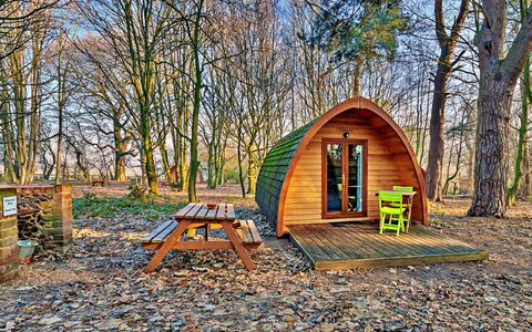 Boudicca Pod: Hout, Schuur, Garden Gebouwen, Blokhut, Bos, Park, Hut, Herfst