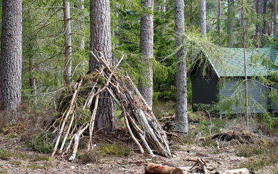 Accommodatie:&nbsp;Oak Bothy 101.11