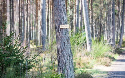 Accommodatie:&nbsp;Forester'S Bothy 101.5
