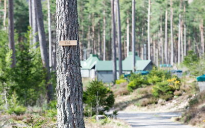 Accommodatie:&nbsp;Oak Bothy 101.11