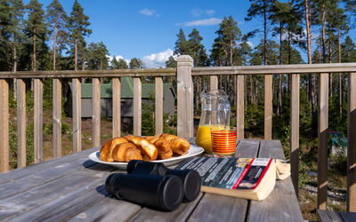 Accommodatie:&nbsp;Birch Bothy 101.7